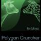 Polygon Cruncher