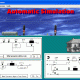 Automatic Simulation