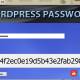 Appnimi Wordpress Password Kit