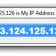 Display IP Address