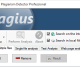 Plagius Professional