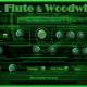DAL Flute Woodwinds VST VST3 AU