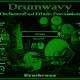 Drumwavy Percussion VST VST3 AU