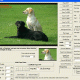 Viscomsoft Image Viewer CP Pro SDK